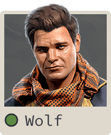 Character Portrait wolf